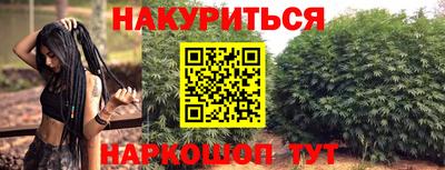 Альфа ПВП Ачхой-Мартан