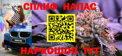 Альфа ПВП Ачхой-Мартан