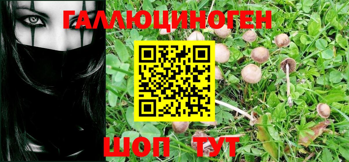 Псилоцибиновые грибы Psilocybe  Галлюциногенные грибы MAGIC MUSHROOMS  магазин  наркотиков  Калининград  Вход с VPN 