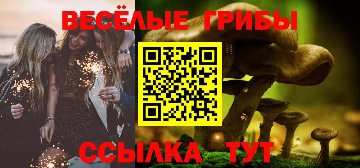 Псилоцибиновые грибы Cubensis Калининград